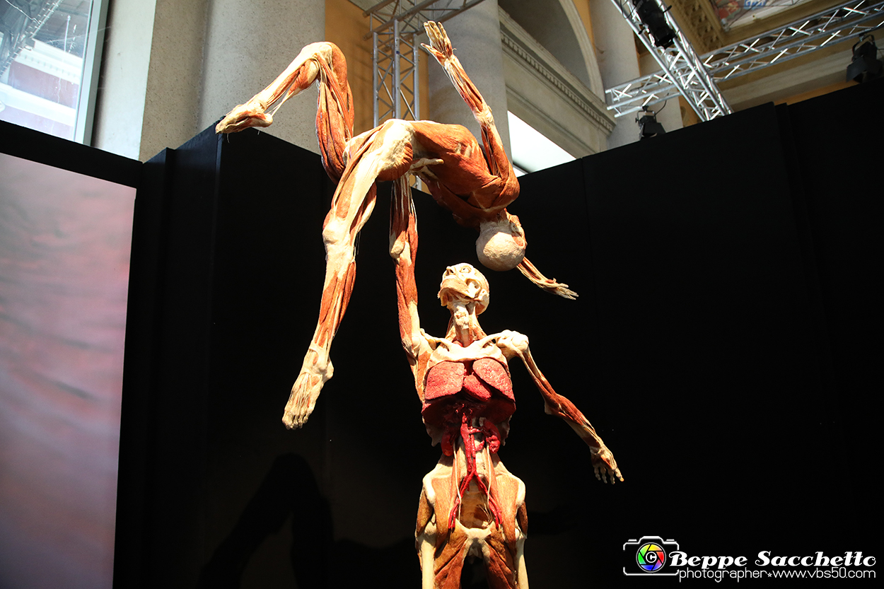 VBS_2801 - Mostra Body Worlds.jpg